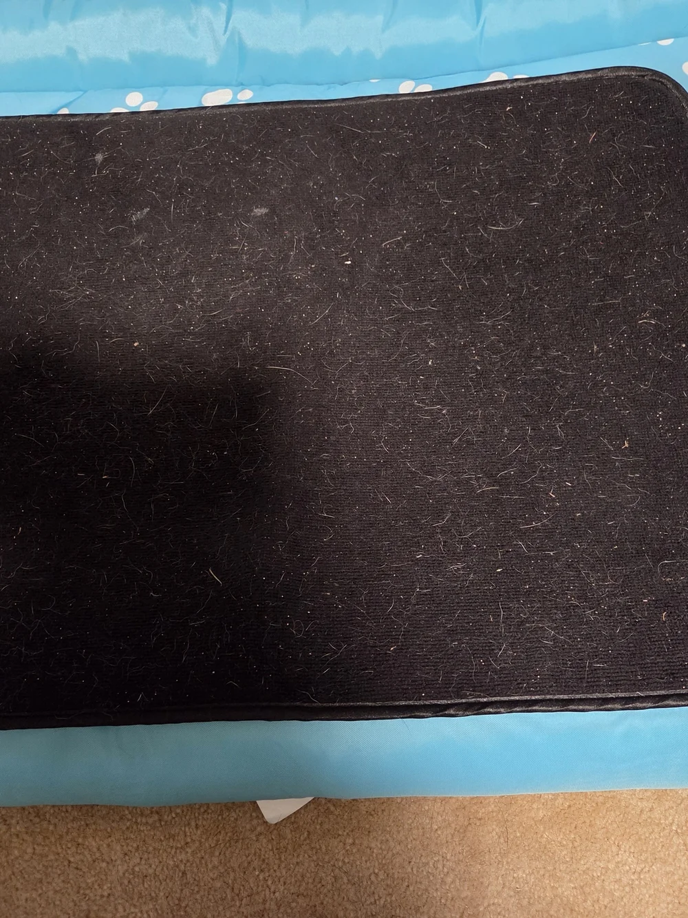 Padded Black Mat for Pets - Rest Pad